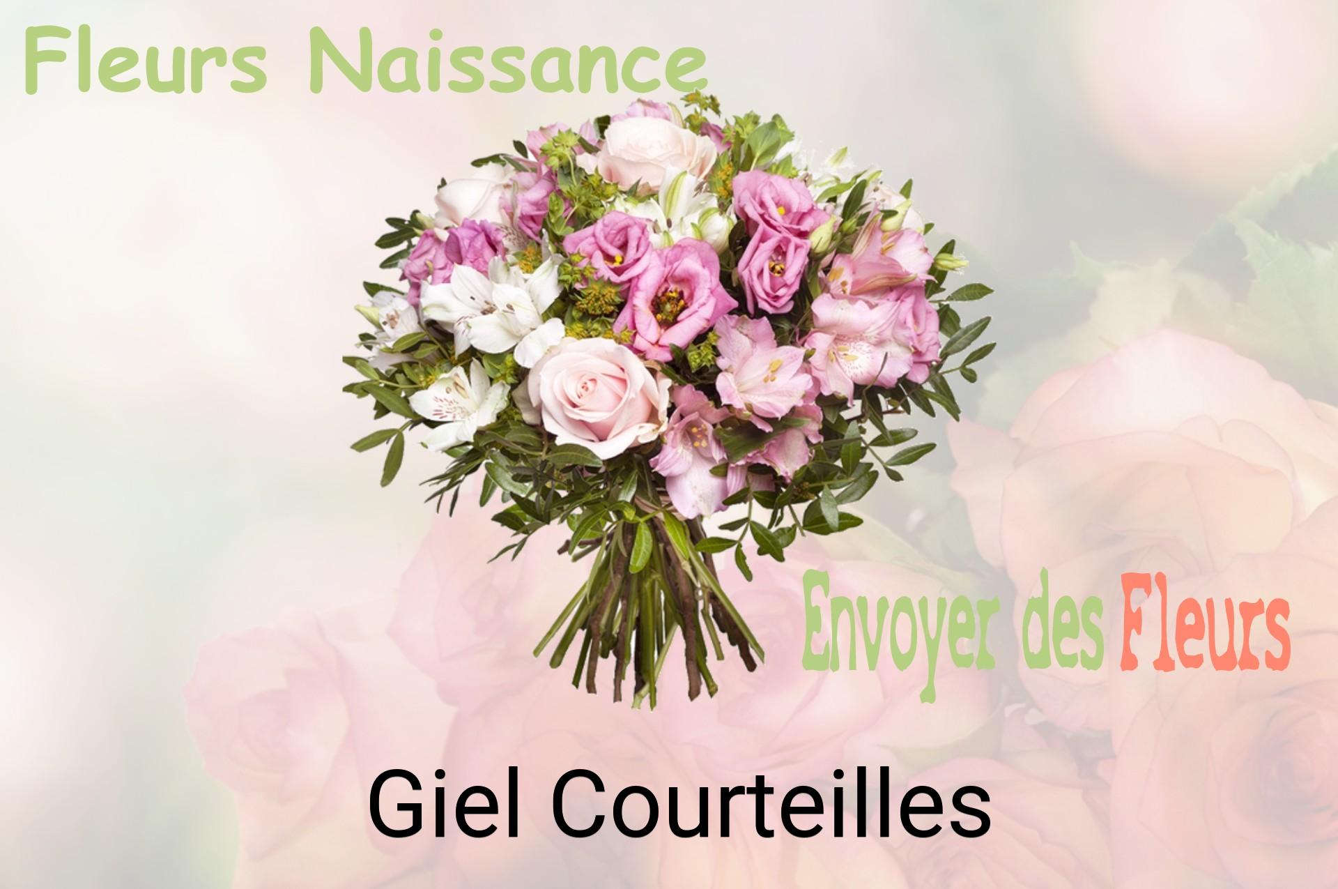 Bouquet de fleurs de naissance livré à Giel-Courteilles